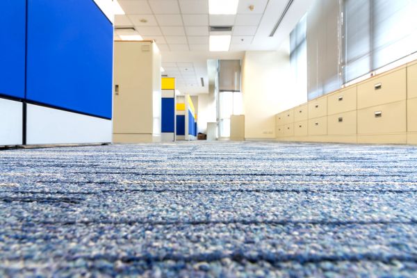 Business Carpet Cleaning in Midlothian