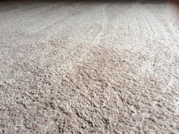 Plush Carpet Installation in Midlothian